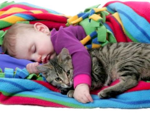 Bambino che dorme col gatto