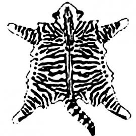 Disegno mantello Mackerel Tabby o Tigrè