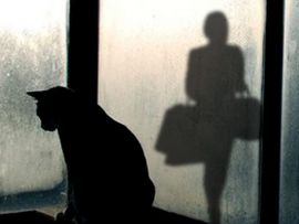 I gatti soffrono la solitudine?
