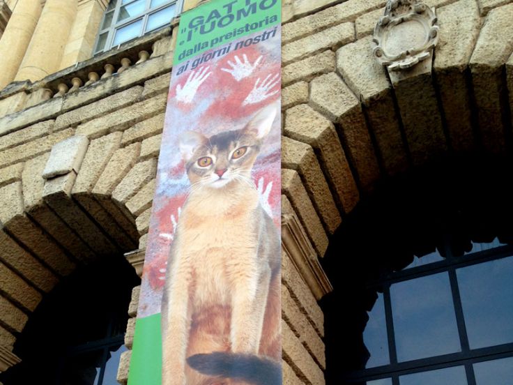 Mostra a Verona: “Il Gatto e l’Uomo”