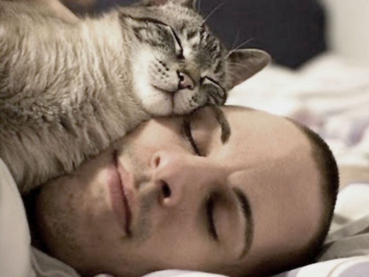Dormire col proprio gatto aiuta a dormire meglio
