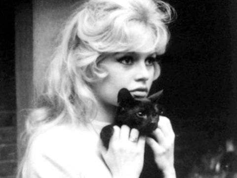 Brigitte Bardot col gatto nero
