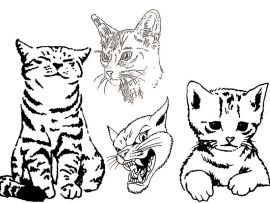 Tatuarsi un gatto, consigli, esempi e significato
