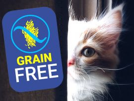 Cibo per gatti grain free