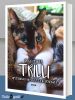 Cover Trilli. Riflessioni di una gatta in degenza