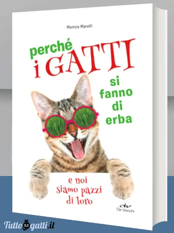 Perché i gatti si fanno di erba e noi siamo pazzi di loro