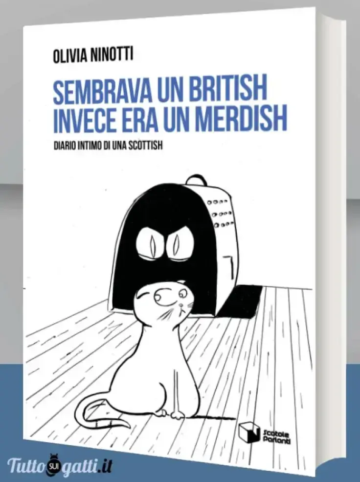Sembrava un British invece era un Merdish