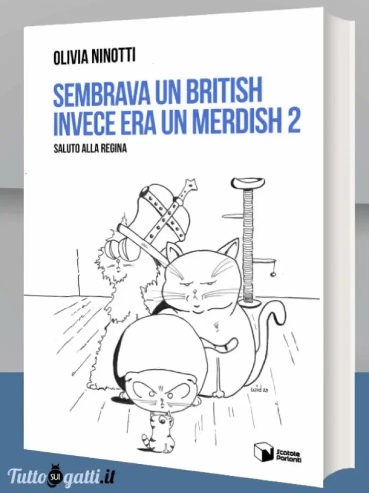Sembrava un British invece era un Merdish 2