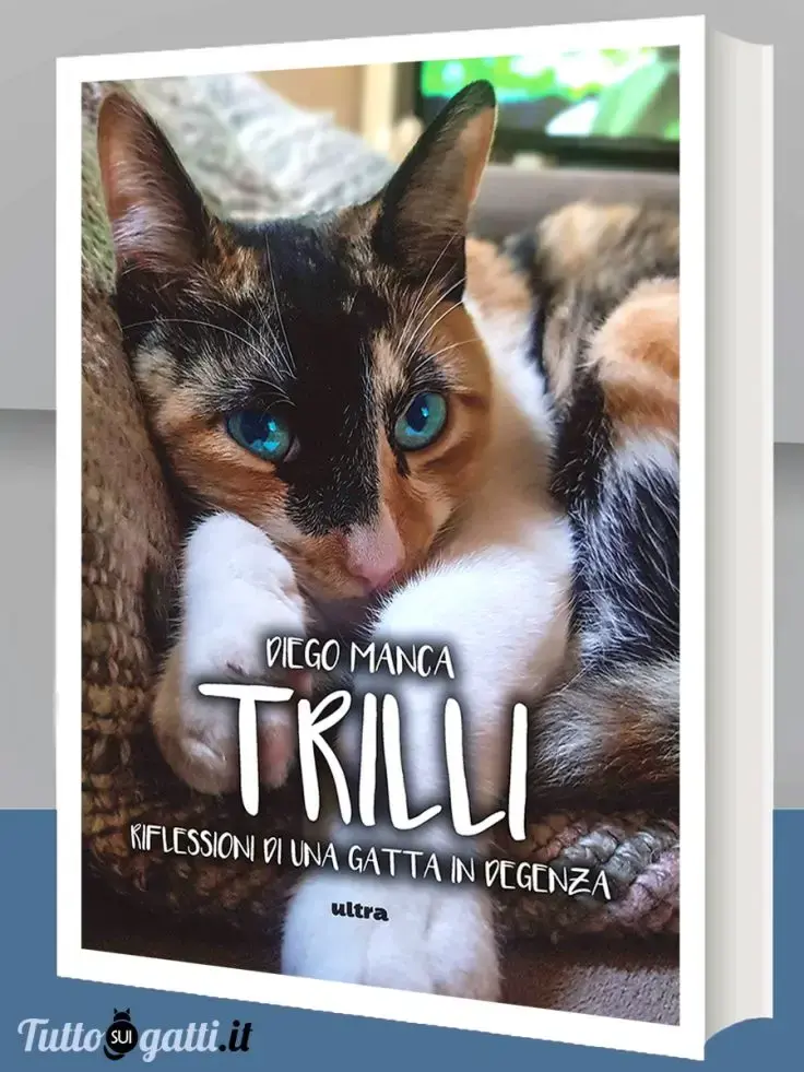 Trilli. Riflessioni di una gatta in degenza