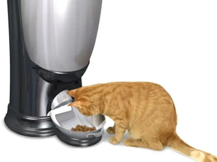 Distributore di cibo e acqua