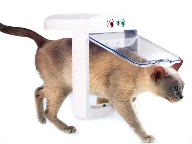 Gattaiola