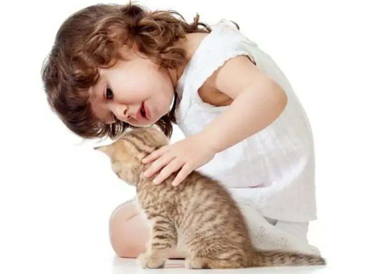 Gatti e bambini
