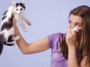 Malattie trasmesse dal gatto