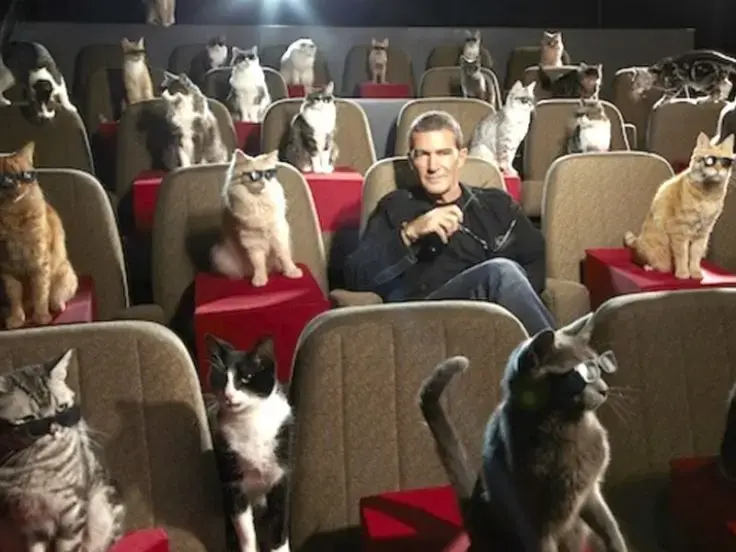 Nel cinema