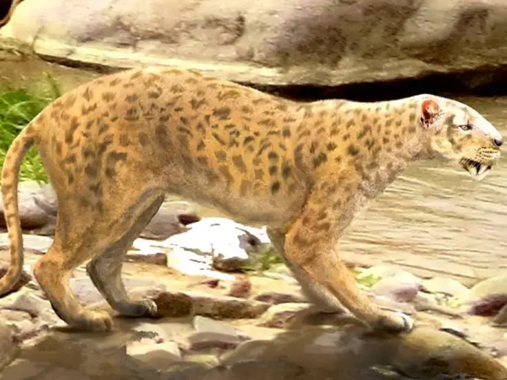 Origini e storia del gatto
