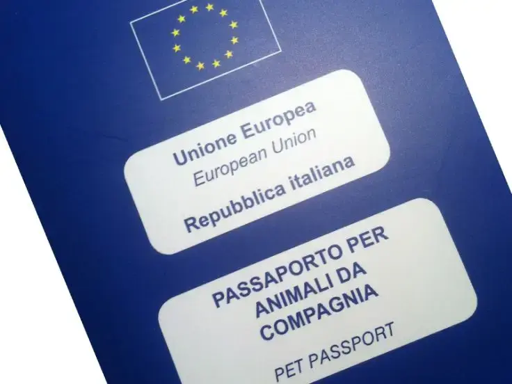 Passaporto europeo per gatti