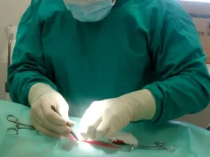 Sterilizzazione e castrazione