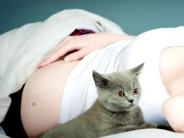 Toxoplasmosi