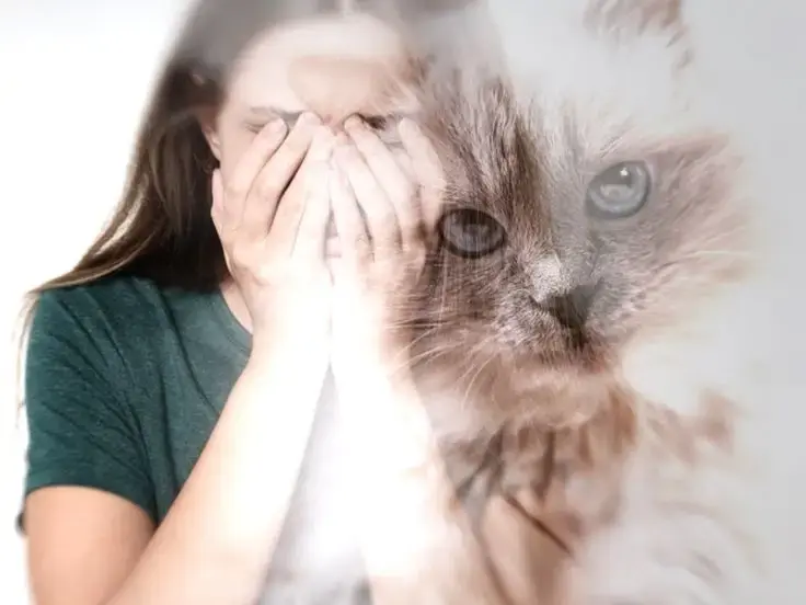 Seppellire il gatto: ecco dove e come fare