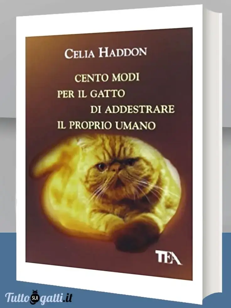 Cento modi per il gatto...