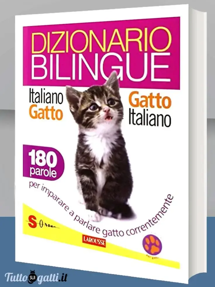 Dizionario bilingue italiano-gatto, gatto-italiano