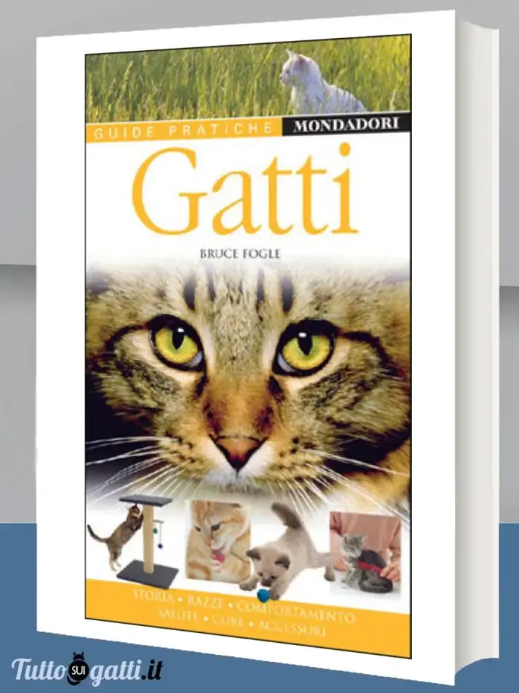 Gatti