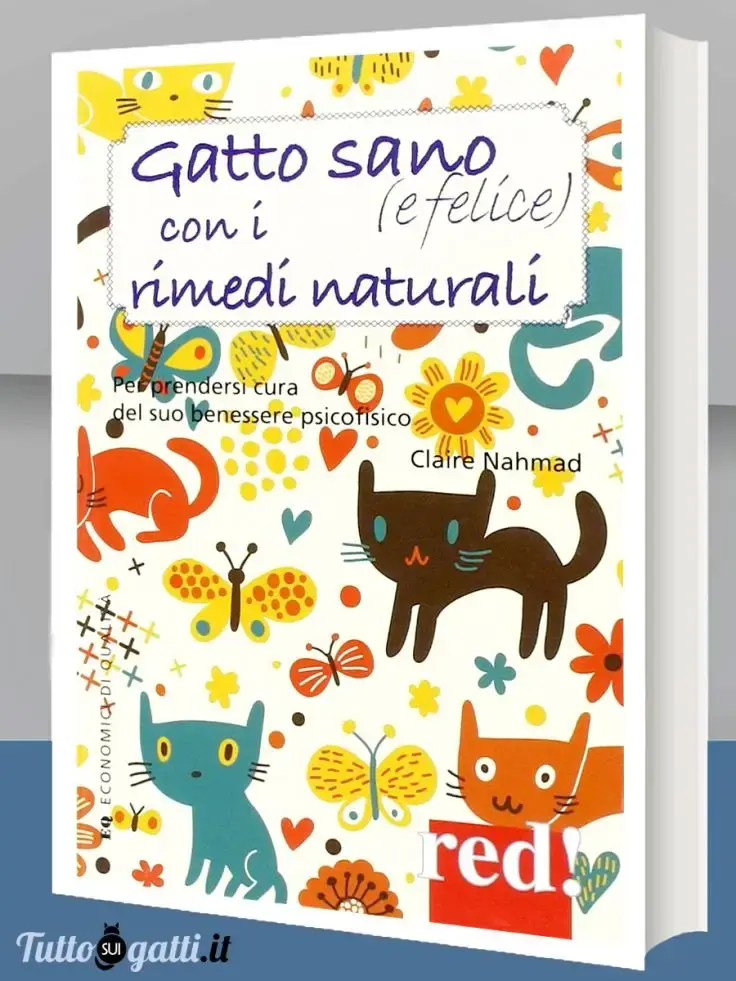 Gatto sano e felice con i rimedi naturali