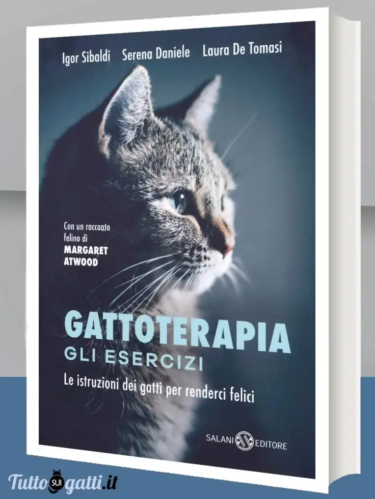 Gattoterapia. Gli esercizi