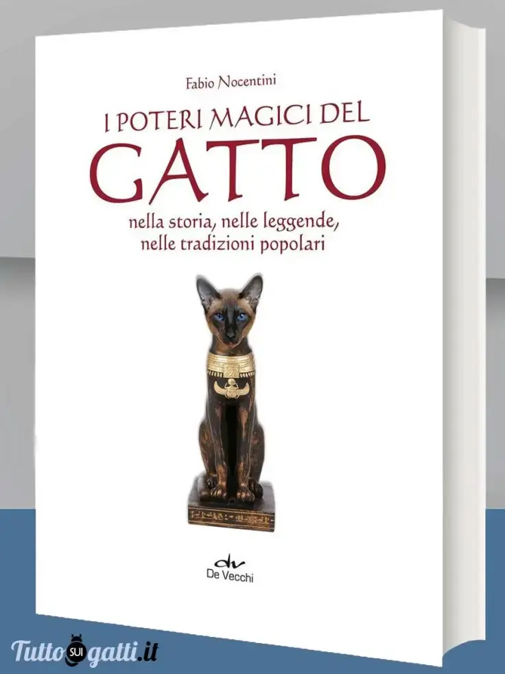 I poteri magici del gatto...