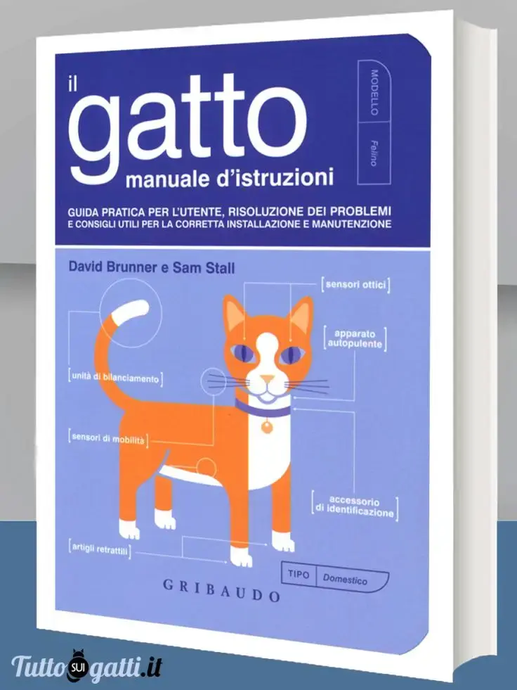 Il gatto