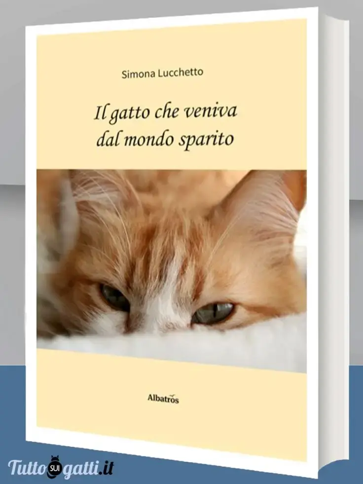 Il gatto che veniva dal mondo sparito