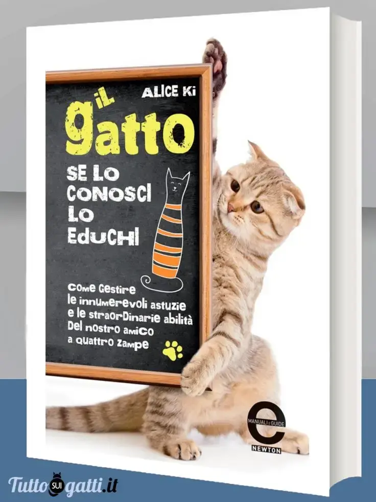 Il gatto. Se lo conosci lo educhi