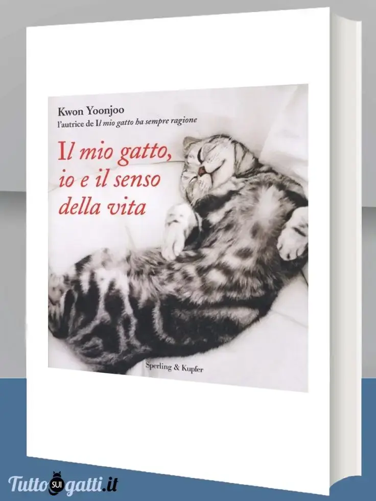 Il mio gatto, io e il senso della vita