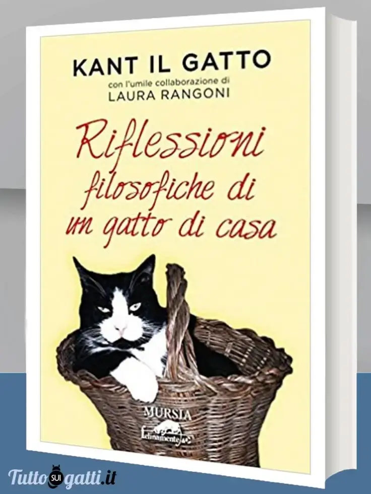 Kant il gatto