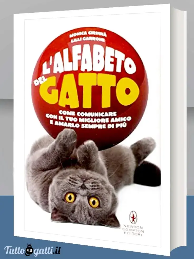 L'alfabeto del gatto