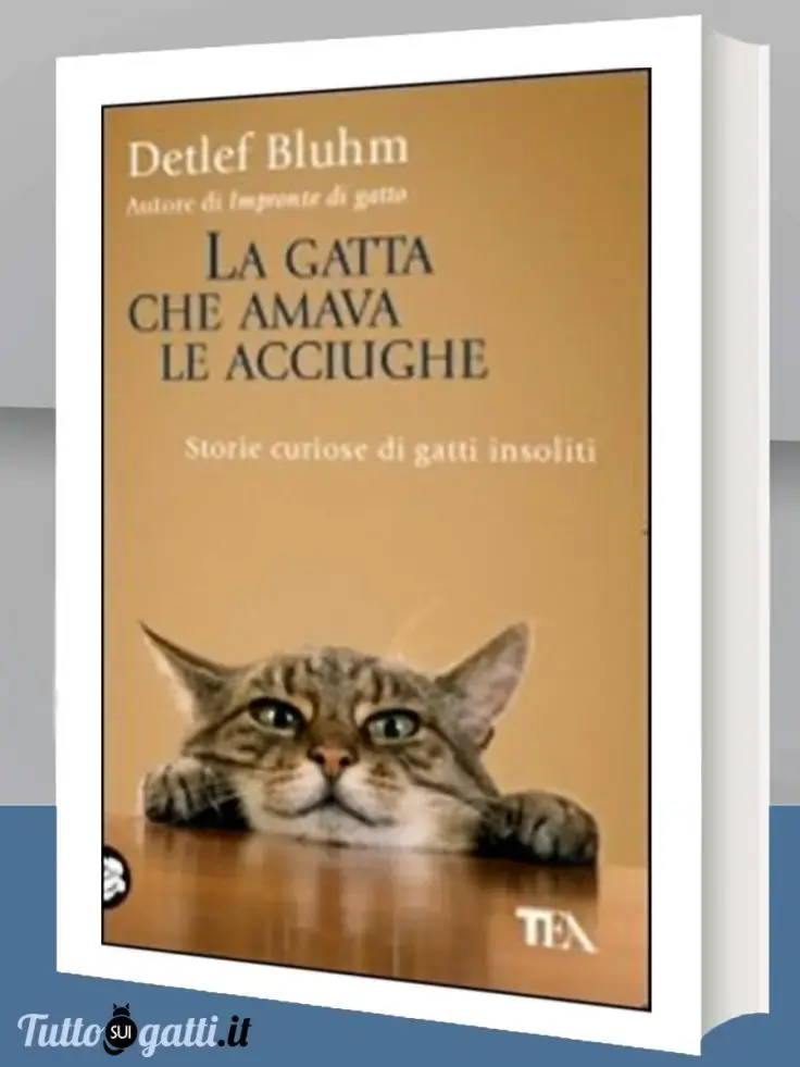 La gatta che amava le acciughe