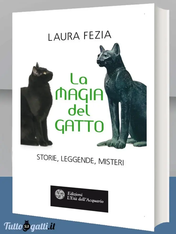 La magia del gatto
